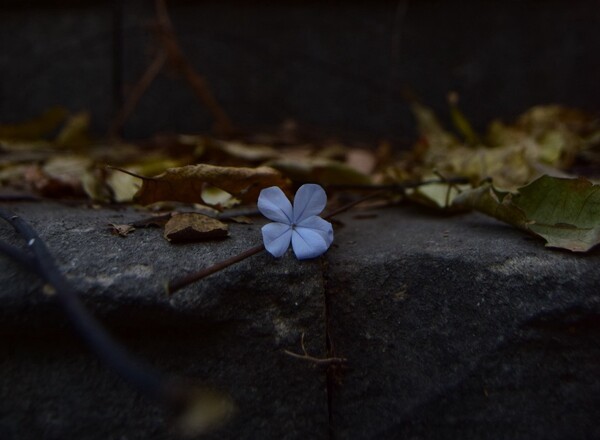 post-thumbnail